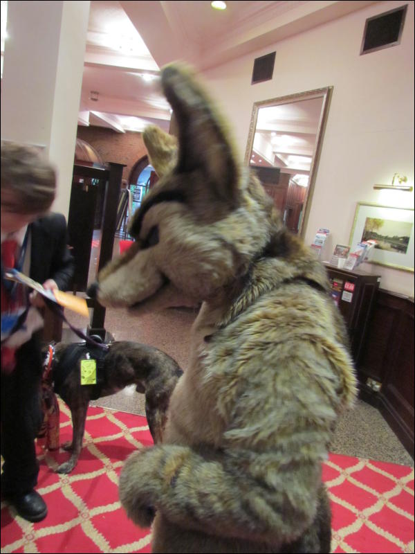 [Devilwuff_CF2011_262.jpg]