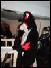 [Devilwuff CF2011 266]