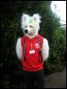 [Furblefox EF10 029]