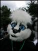 [Furblefox EF10 042]