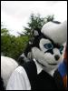 [Furblefox EF10 043]