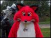 [PlushFox EF13 031]