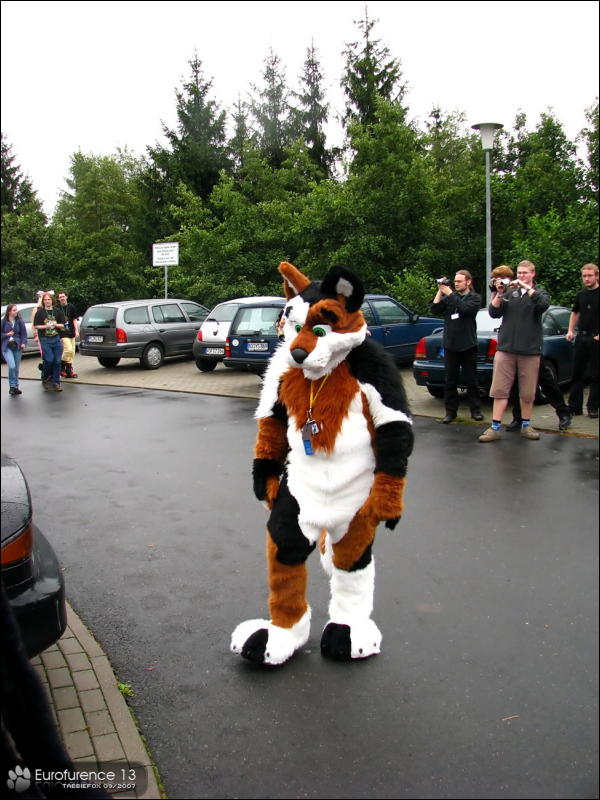 [Tabbiefox_EF13_099.jpg]