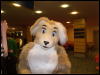 [JackieDog EF08 068]