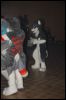 [MoonfoxTagaro EF17 1653]