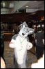 [MoonfoxTagaro EF17 1701]