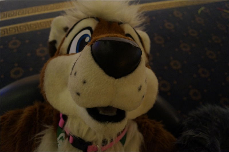 [Aoi_EF18_0209_a57_0429.jpg]