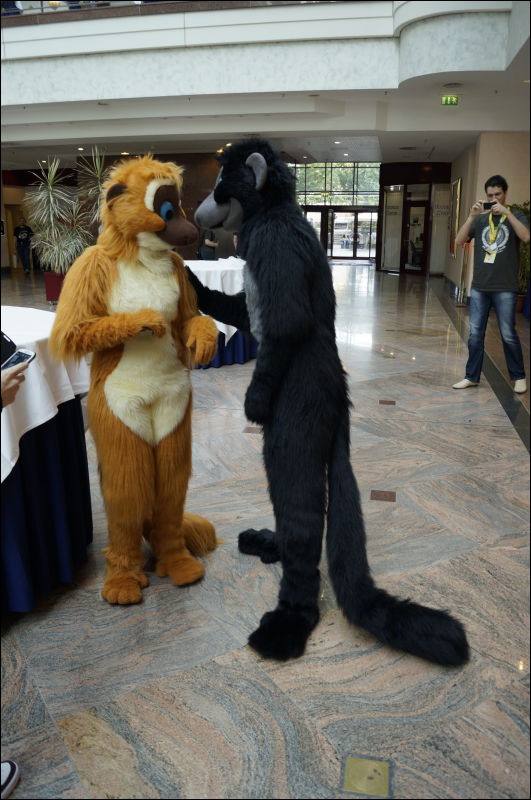 [Aoi_EF18_0209_a57_0466.jpg]