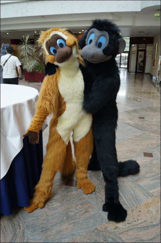 [Aoi_EF18_0209_a57_0468.jpg]