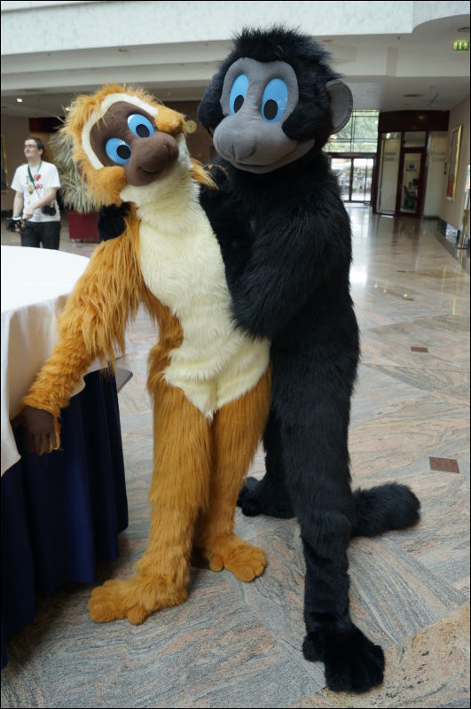 [Aoi_EF18_0209_a57_0469.jpg]