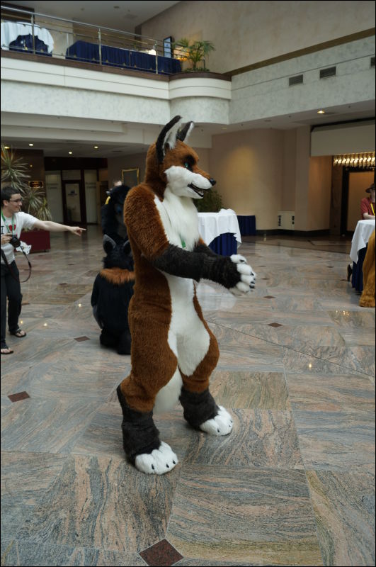 [Aoi_EF18_0209_a57_0476.jpg]