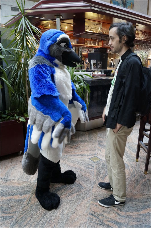 [Aoi_EF18_0209_a57_0492.jpg]