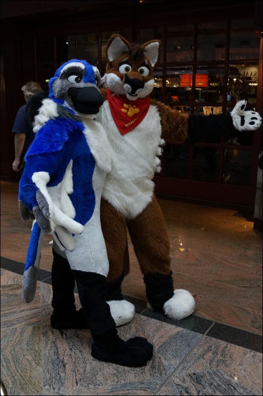 [Aoi_EF18_0209_a57_0536.jpg]