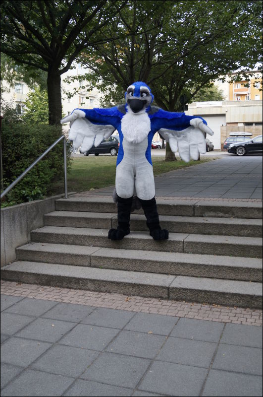 [Aoi_EF18_0209_a57_0565.jpg]