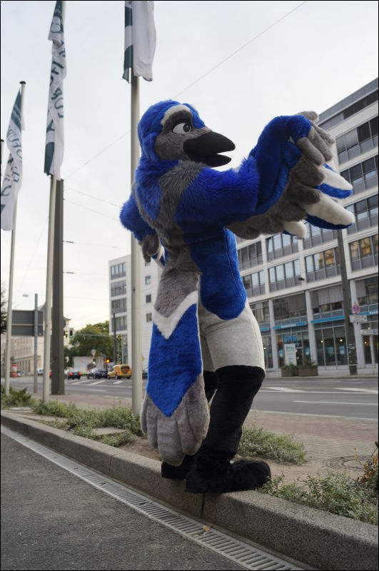 [Aoi_EF18_0209_a57_0651.jpg]