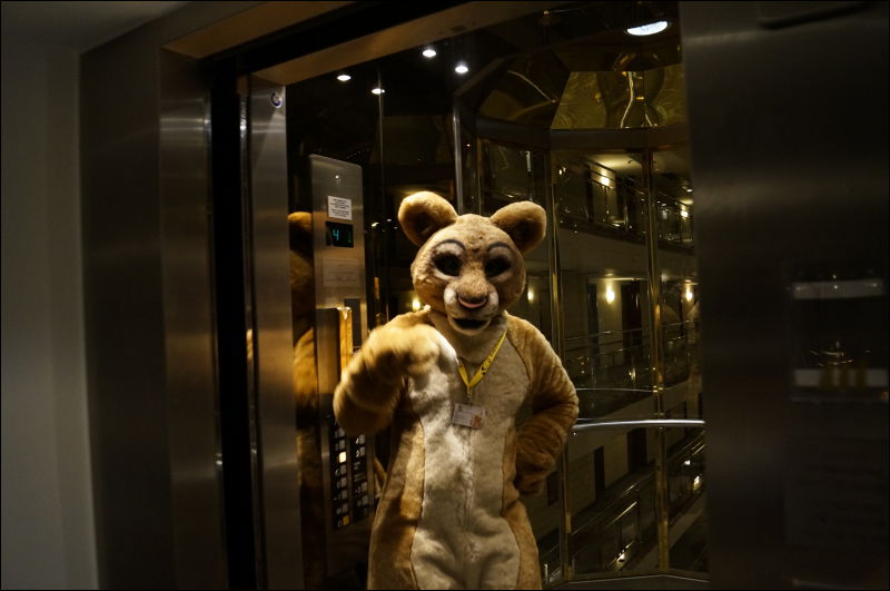 [Aoi_EF18_0209_a57_0733.jpg]