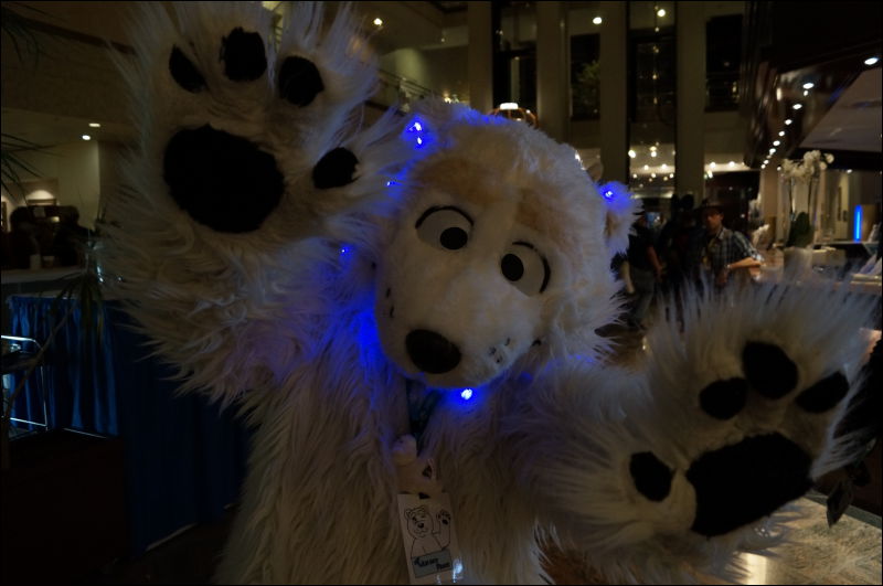 [Aoi_EF18_0209_a57_0844.jpg]