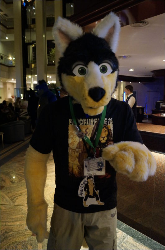 [Aoi_EF18_0209_a57_0848.jpg]