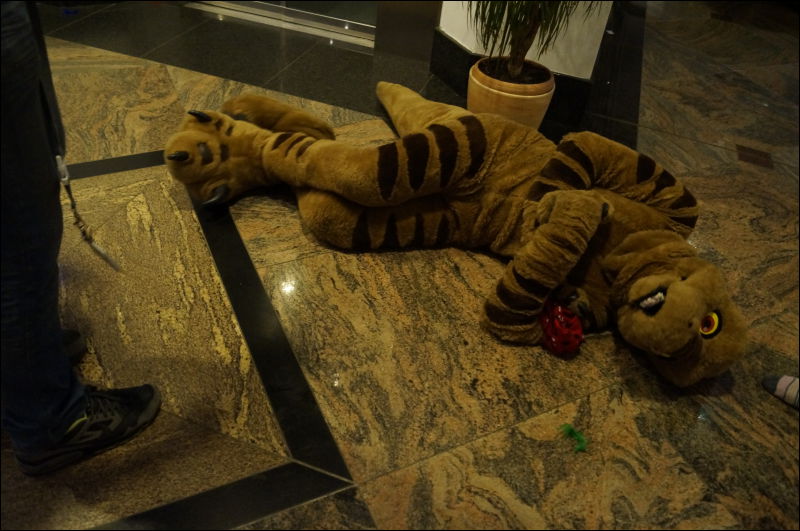 [Aoi_EF18_0309_a57_0103.jpg]