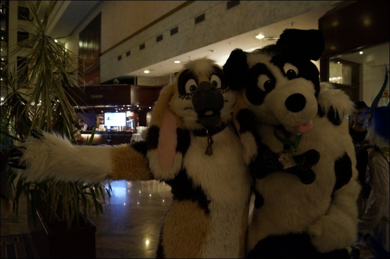 [Aoi_EF18_2808_a57_0161.jpg]