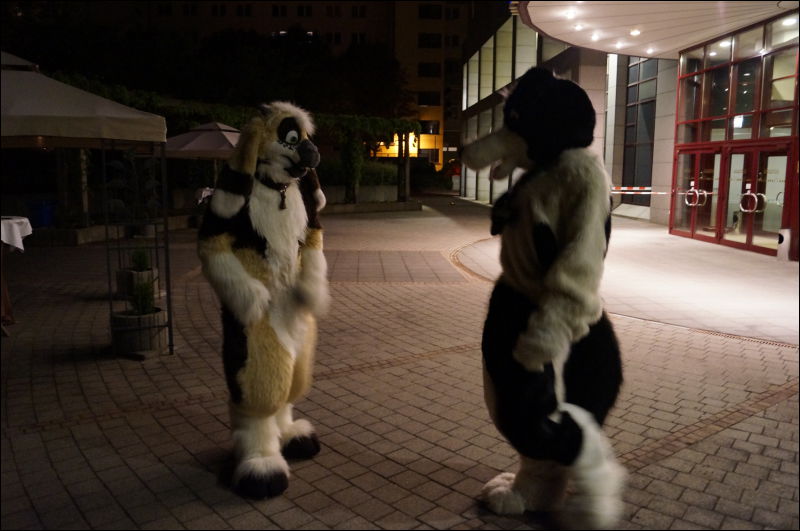 [Aoi_EF18_2808_a57_0244.jpg]