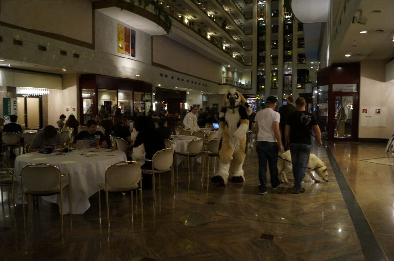 [Aoi_EF18_2908_a57_0162.jpg]