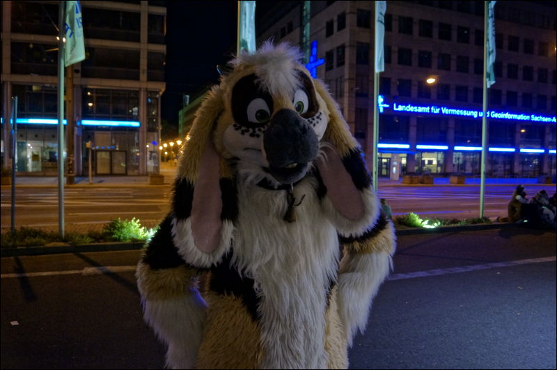 [Aoi_EF18_2908_a57_0198.jpg]