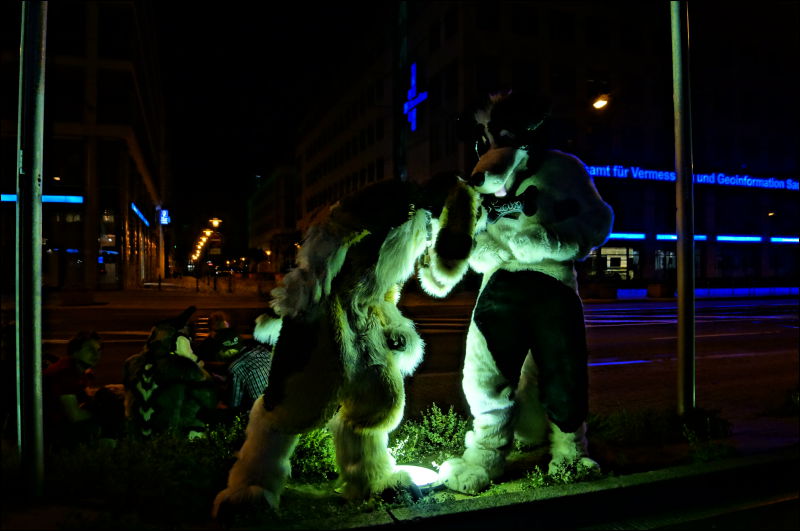 [Aoi_EF18_2908_a57_0202.jpg]