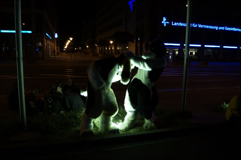 [Aoi_EF18_2908_a57_0205.jpg]