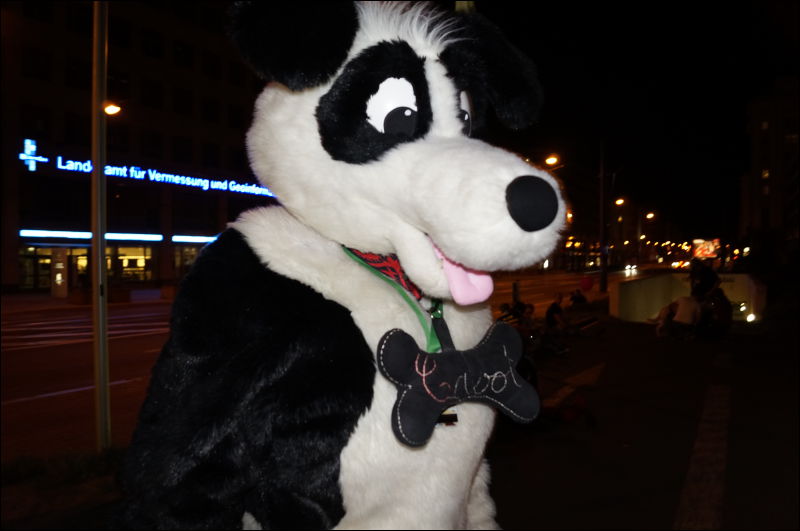 [Aoi_EF18_2908_a57_0213.jpg]