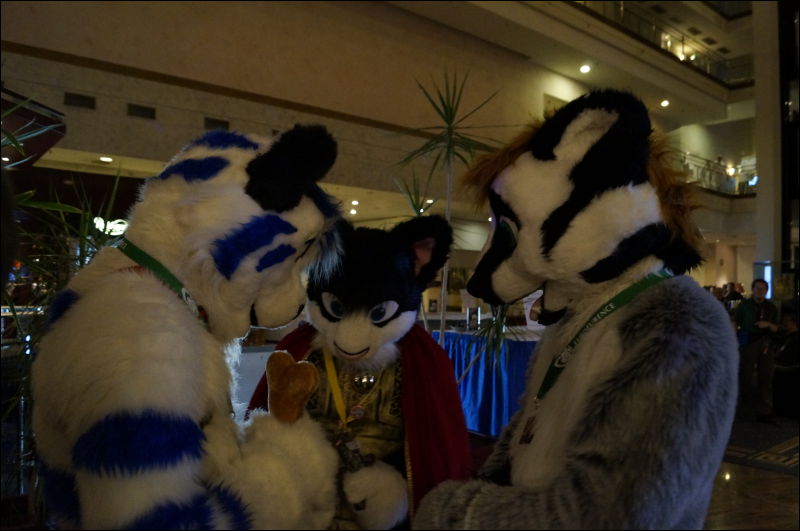 [Aoi_EF18_3008_a57_0239.jpg]