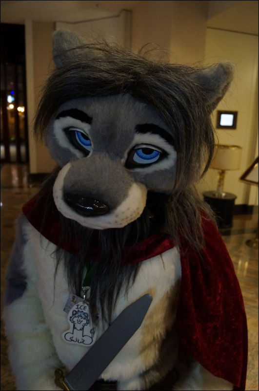 [Aoi_EF18_3008_a57_0377.jpg]