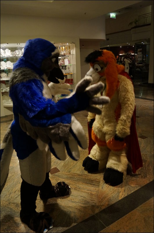 [Aoi_EF18_3008_a57_0426.jpg]