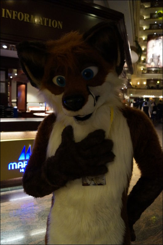 [Aoi_EF18_3108_a57_0178.jpg]