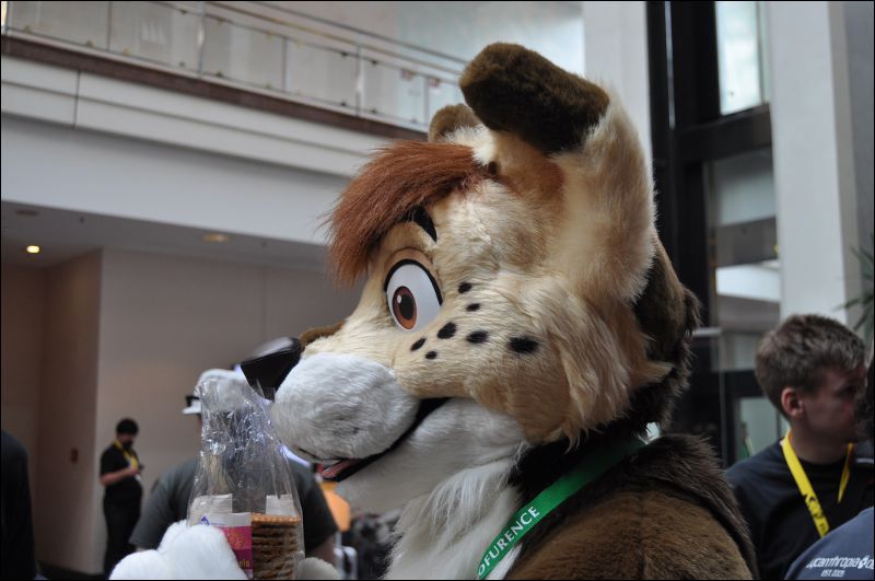 [SeanC_EF18_247.jpg]