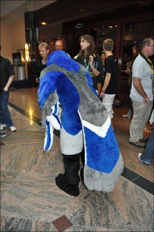 [SeanC_EF18_262.jpg]