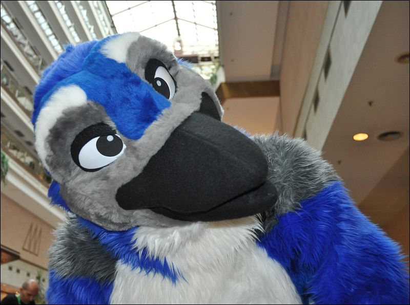 [SeanC_EF18_264.jpg]