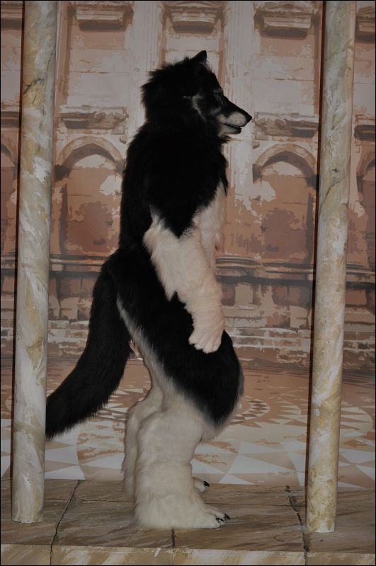 [SeanC_EF18_441.jpg]