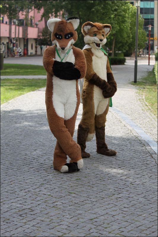 [EF19_Nimmermehr (50).JPG]