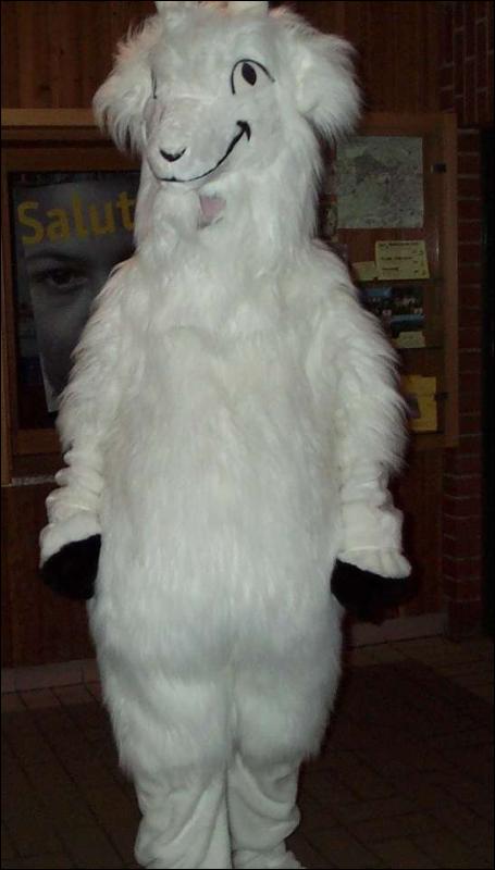 [Werwelpe_EF7_Fursuit4.JPG]