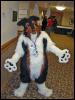 [MortonFox FF2005 furfr13]