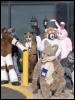 [PWL FurFright2005 23]