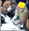 [PWL FurFright2005 36]