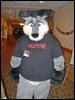 [MortonFox FF2006 Skylar Husky]