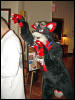 [MortonFox FF2007 008]