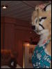 [Banrai FurryCruise2005 006]