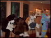 [Banrai FurryCruise2005 016]