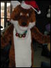 [Aragorn FWA2006 FursuitBowling 040]