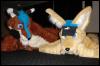 [WhiteWolf FWA2007 2suitsfloor]