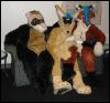 [WhiteWolf FWA2007 3suits7]